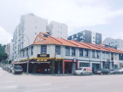 Geylang Road (D14), Shop House #604856701